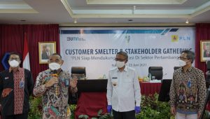 PLN Siap Dukung Sektor Bisnis hingga Tambang di Kalimantan