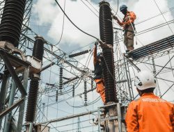 PLN: No Removal or Transfer of 450 VA Power Customers*