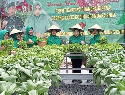 Ny.Dewi Rimba Anwar Dan Pengurus Melaksanakan Panen Sayur Hidroponik