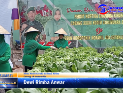 Ny. Dewi Rimba Anwar Di Dampingi Ny. Krisma Sujarwo Panen Sayur Hidroponik Di Kebun Hidroponik Koramil 404-05 tanjung enim