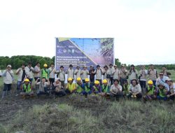 Kolaborasi PTBA-Pemerintah Lestarikan Habitat Burung dan Mangrove di Pulau Alanggantang