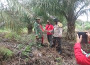Sertu Velky Giat Laksanakan Patroli Karhutla Demi Menjaga Hutan Desa Sepahat