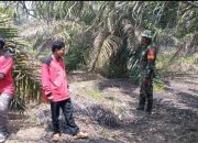 Tidak Main Main Kopda Hendra Syaputra Peringatkan Pelaku Pembakaran Hutan dan Lahan di Wilayah Binaaannya