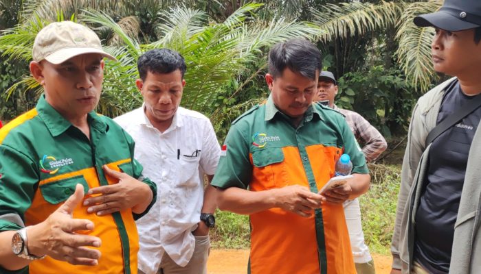 Warga Teluk Bayur Pertanyakan Legalitas HGU Perkebunan Sawit PT. PTS